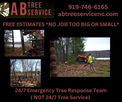 All Photos for AB Tree Service in Raleigh, NC