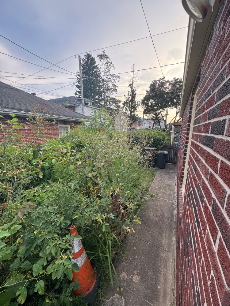 All Photos for Landscape & Lawn Care Pros in Allentown, PA