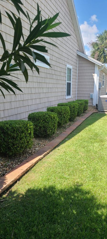 All Photos for TopNotch Landscaping Services  in The Villages, FL