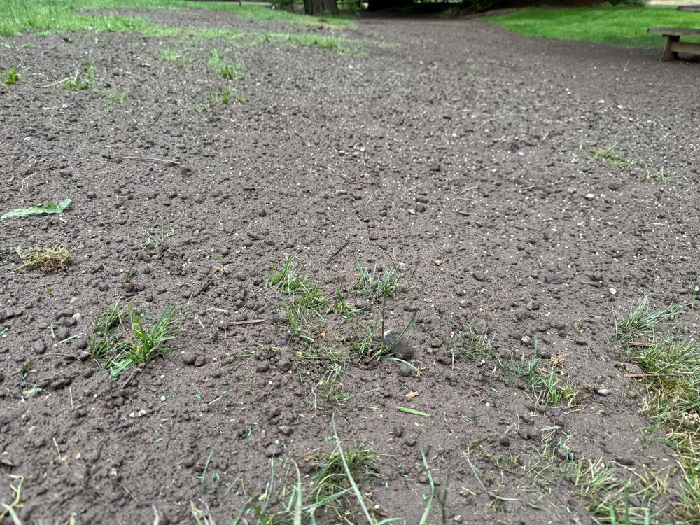 All Photos for AR Trucking & Excavation LLC in Stanwood, WA