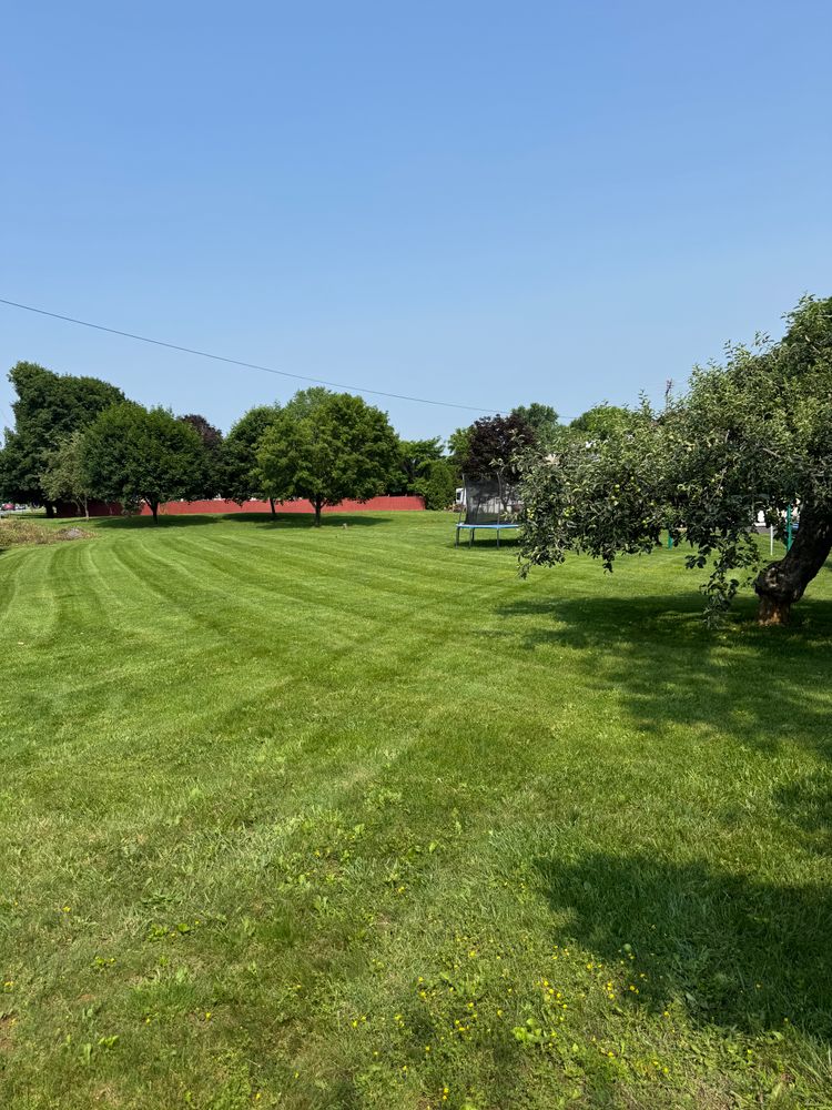 All Photos for Landscape & Lawn Care Pros in Temple, PA