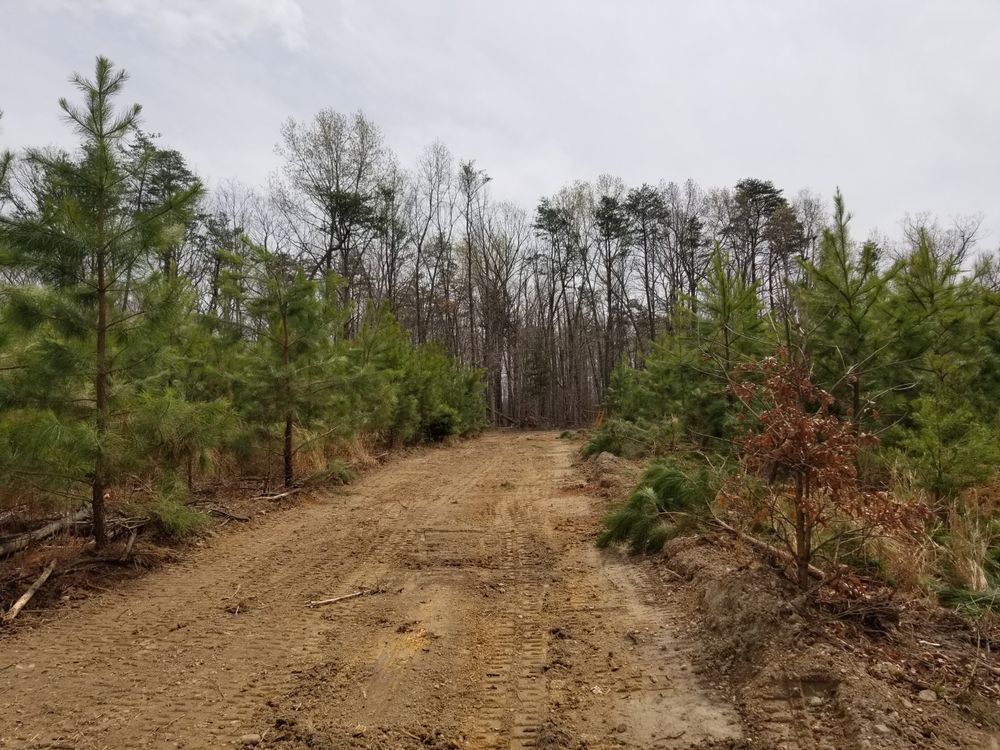 Landscaping for Douthat Solutions in Clearwater, FL
