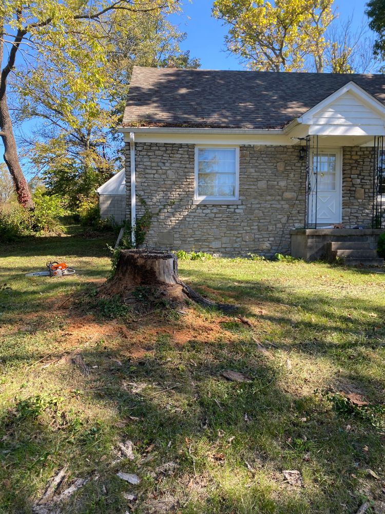 All Photos for Houtz Tree Service in Lexington, KY