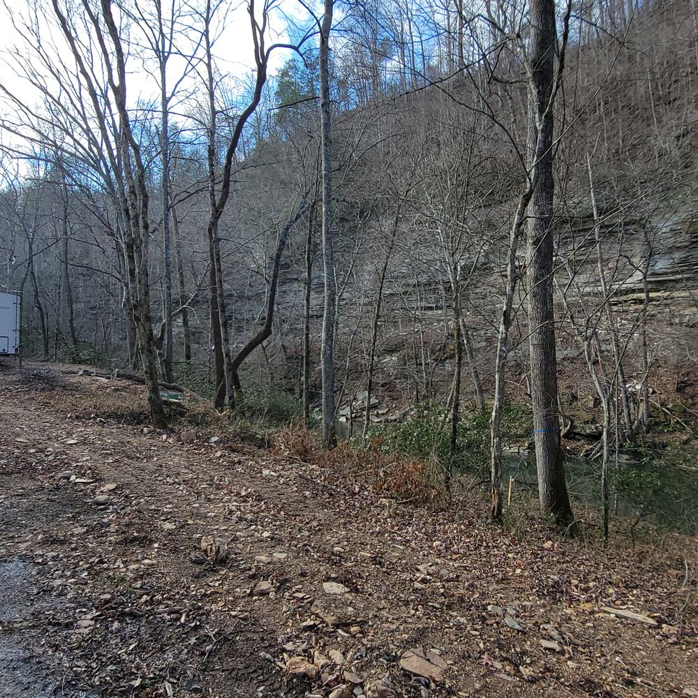 All Photos for Z's Land Management & Forestry Mulching in Smithville, TN