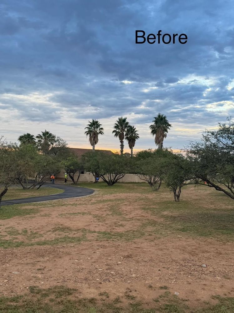 All Photos for By Faith Landscaping in Sierra Vista, AZ
