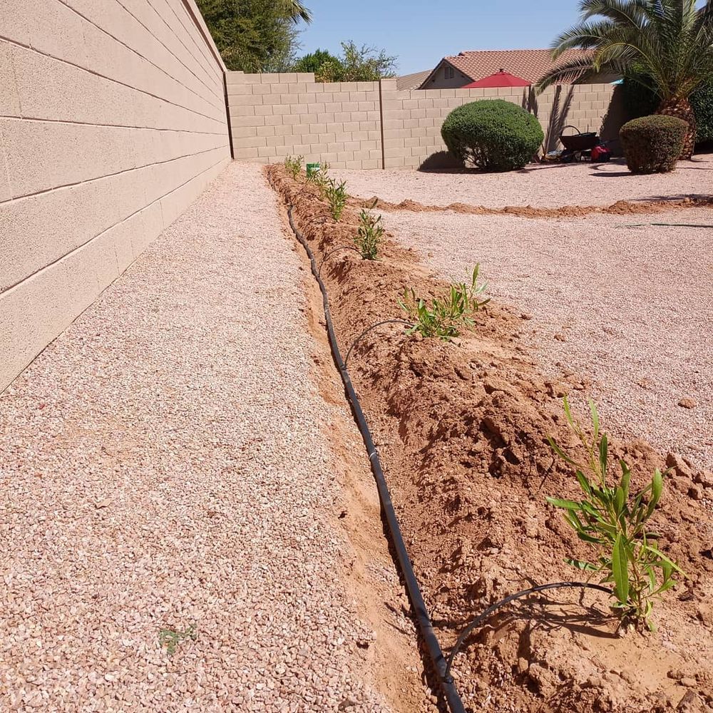 All Photos for CRAJE Landscaping LLC in Mesa, AZ