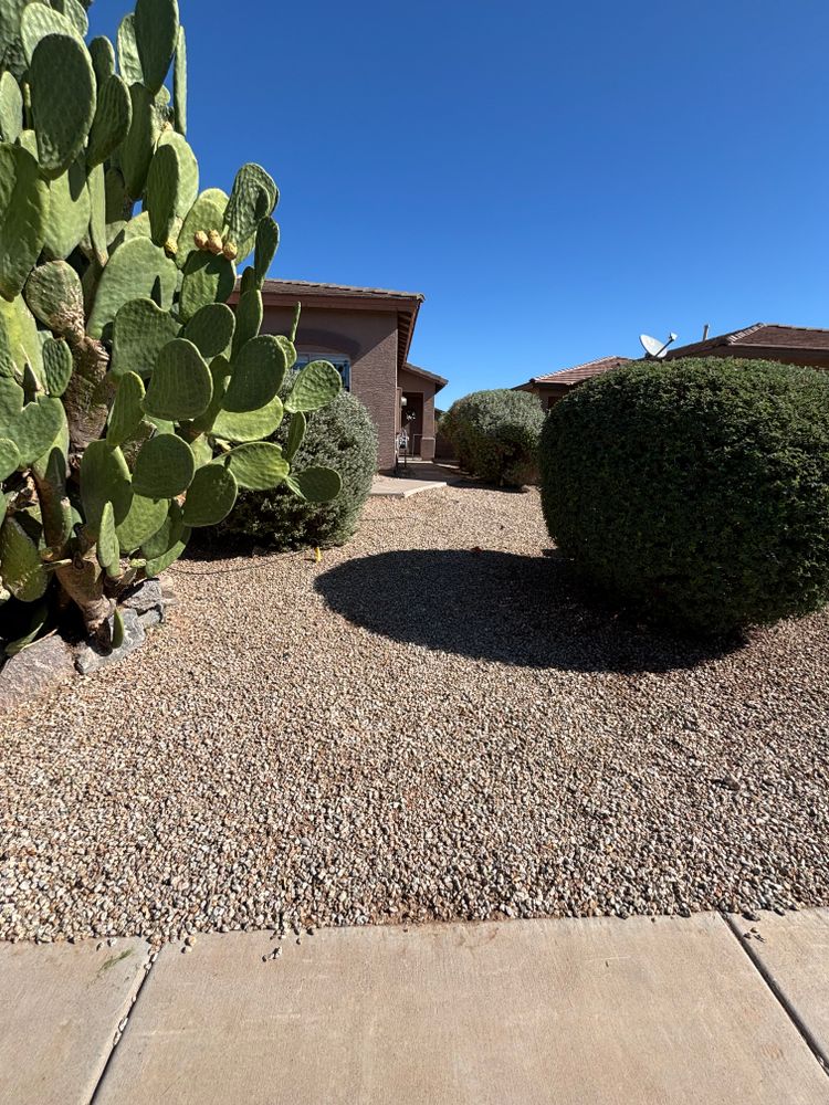 All Photos for Good Hands Landscape in Maricopa, AZ