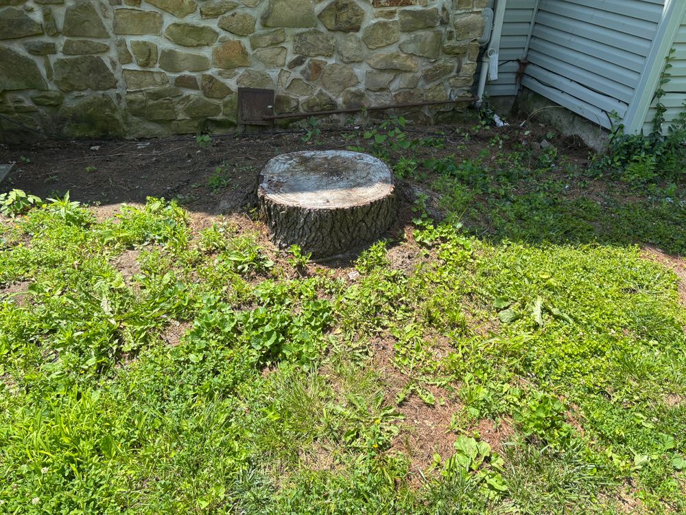 All Photos for Conrad's Stump Removal in Columbus, IN