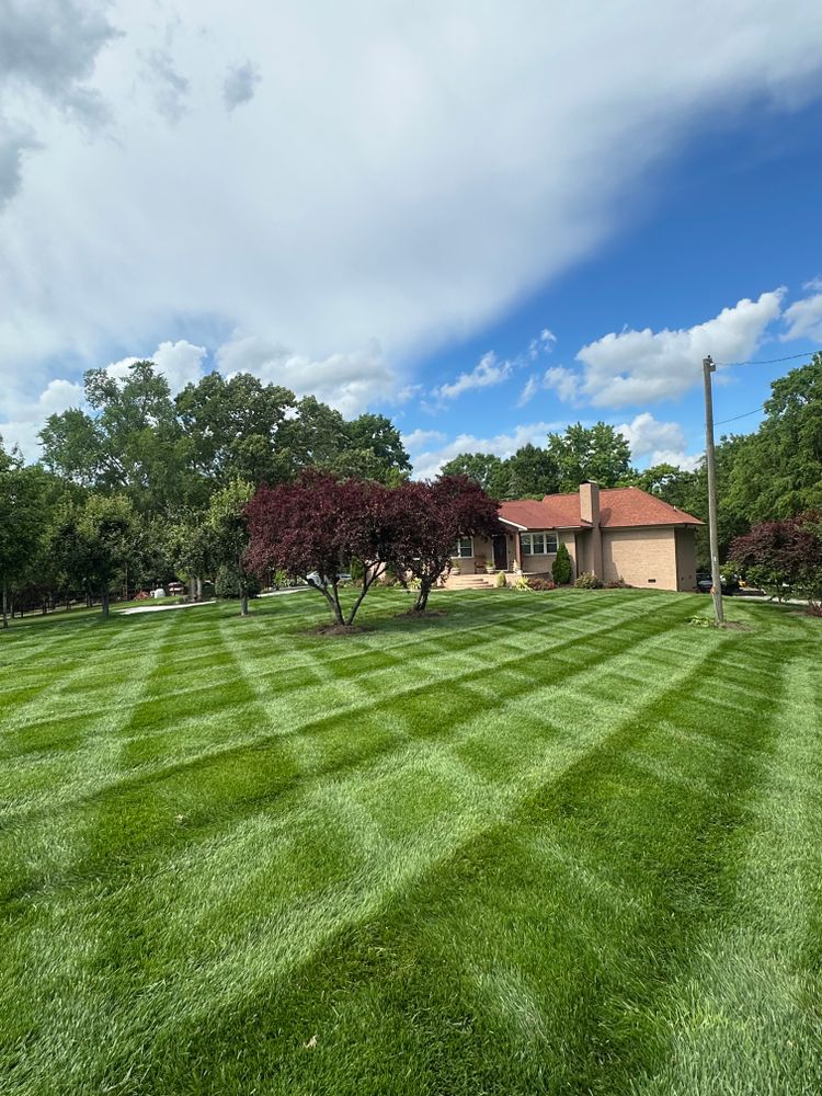 Transform your lawn effortlessly with our professional mowing service, ensuring a pristine, well-manicured appearance while enhancing your home's curb appeal and maintaining the health of your grass. for Pecina Pine Needles in Monroe, NC