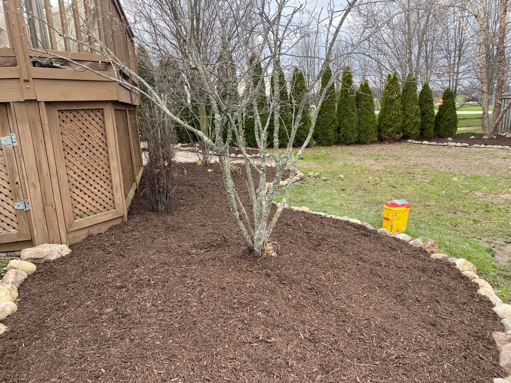 Landscaping for Tico Landscape Improvements in Ann Arbor, MI