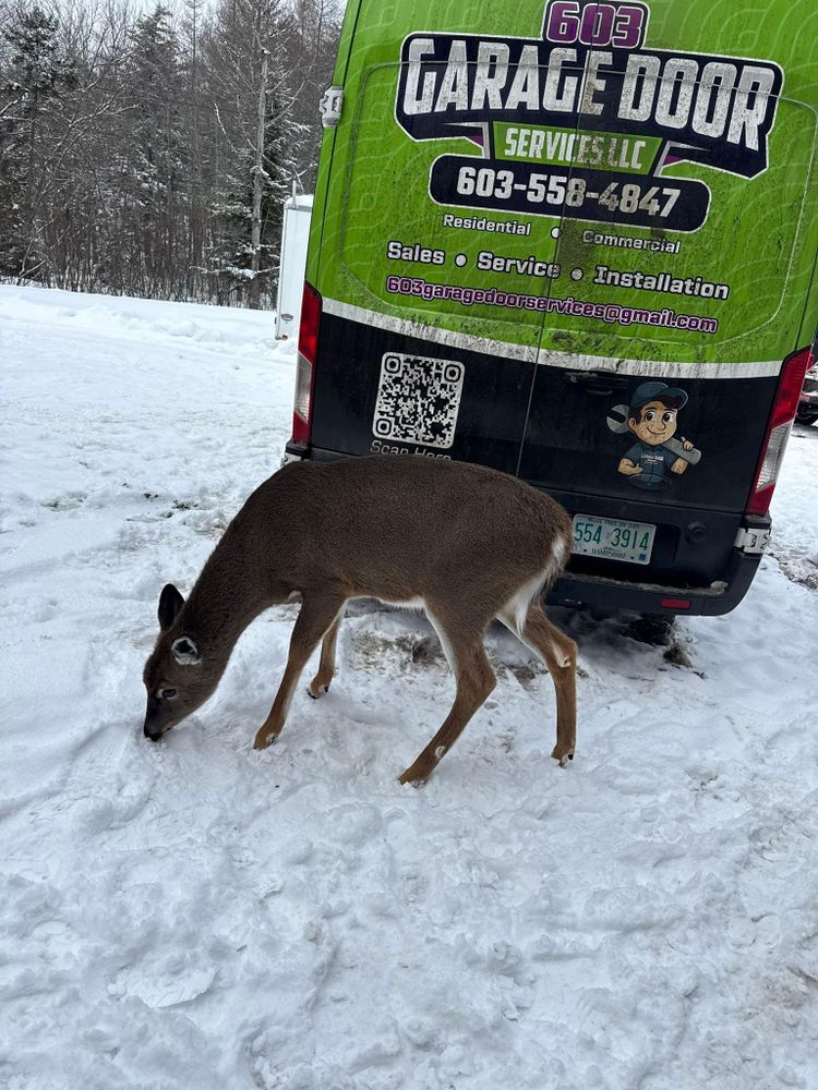 All Photos for 603 Garage Door Services LLC in Claremont,  NH