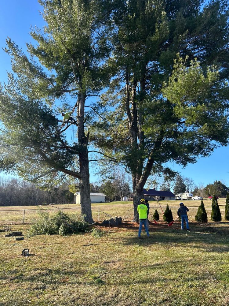 All Photos for Lightning Tree Service in Corydon, IN