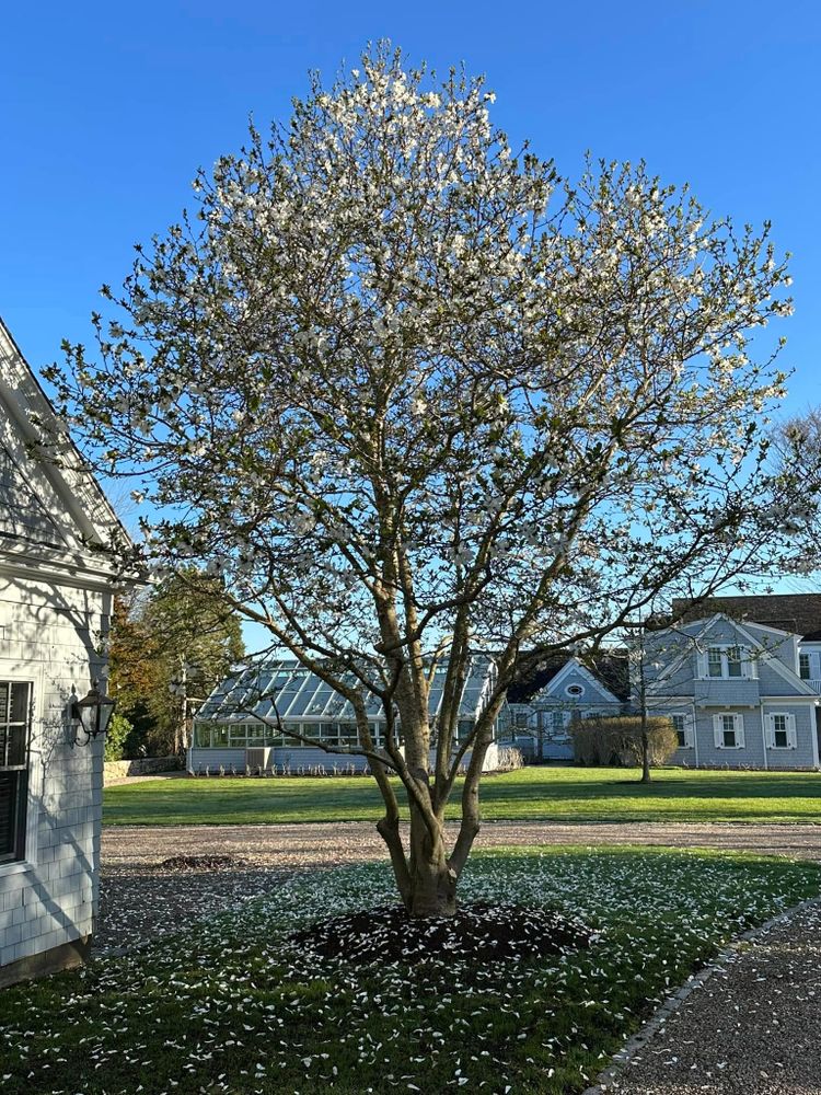 Landscaping for RB Coastal Services in Sandwich, MA