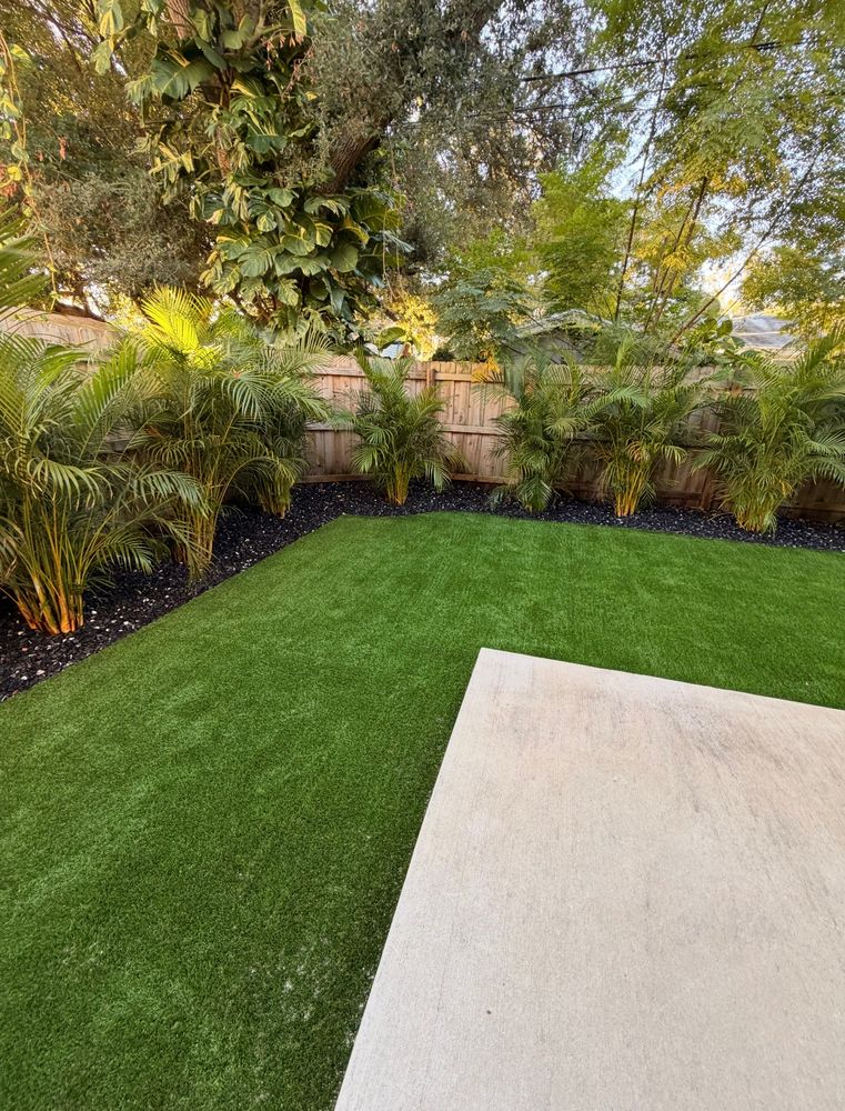 All Photos for Oceanfront Landscape in St. Petersburg, FL