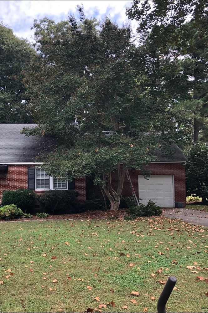 All Photos for Paul's Lawn Care and Pressure Washing in Wilson, NC