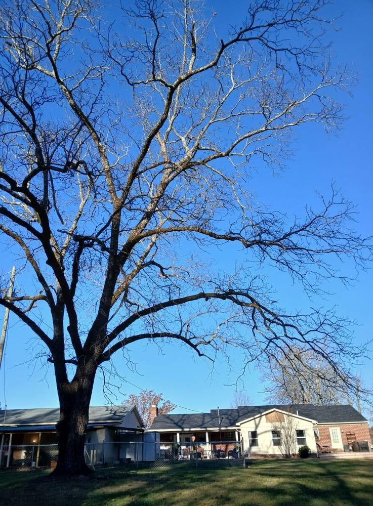 All Photos for Whiskey Ridge Mulching & Land Services in South Boston, VA