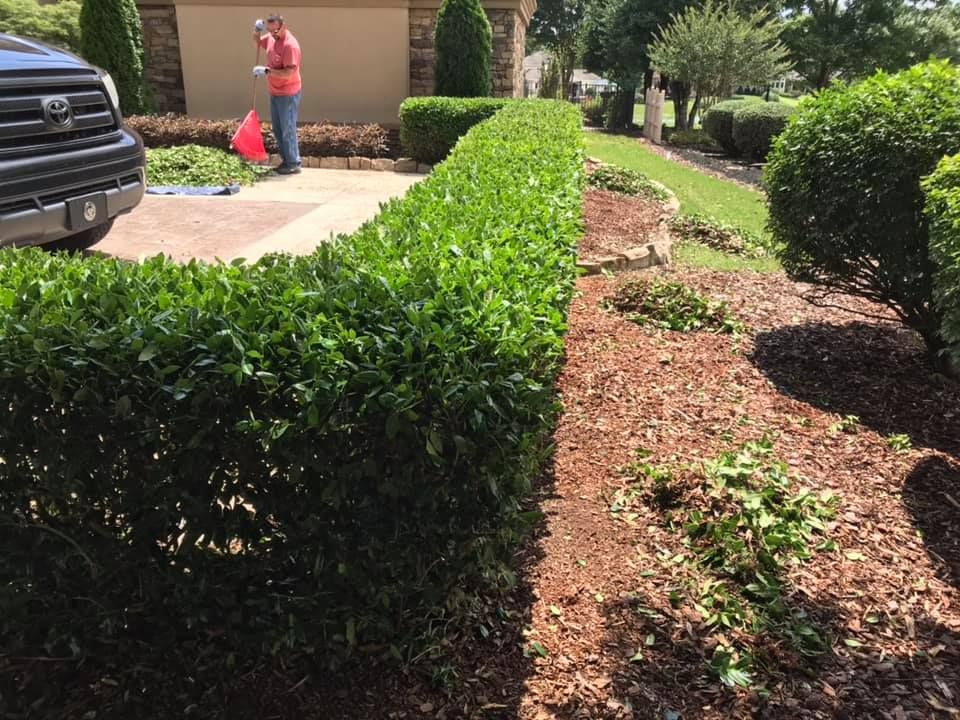 Landscaping for Mtn. View Lawn & Landscapes in Chattanooga, TN