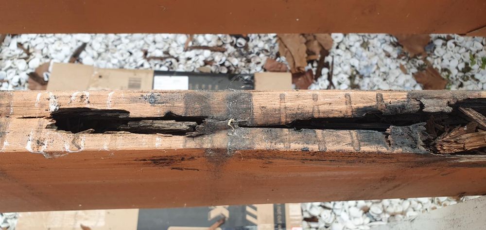 All Photos for Nunez Concrete & Landscape LLC in Tampa Heights, FL