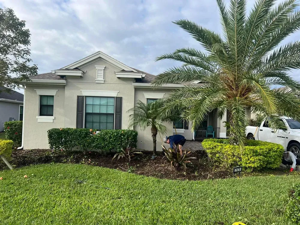 All Photos for Florida Pro Turf in Rockledge, FL