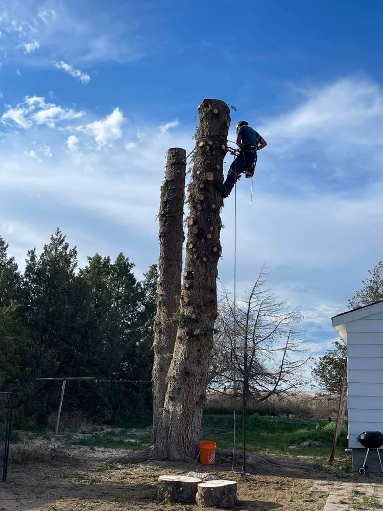 Other Services for Graham’s Tree Services in Pierce, CO