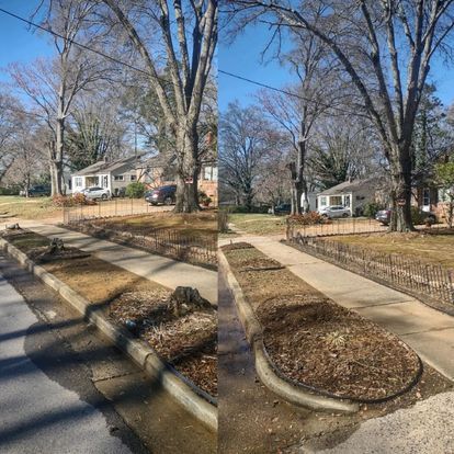 All Photos for Morgan's Stump Removal in Rock HIll, SC