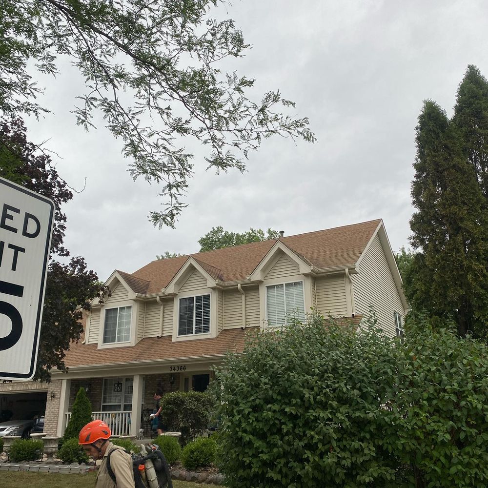 Tree Removal for Moreno Landscaping in Mundelein, IL