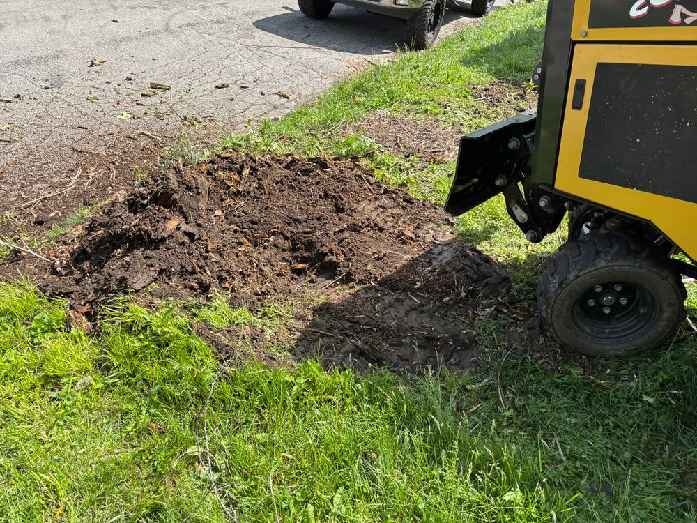 All Photos for Conrad's Stump Removal in Columbus, IN