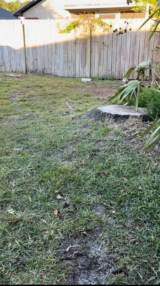 All Photos for Whole 9 Yards Services in Green Cove Springs, FL