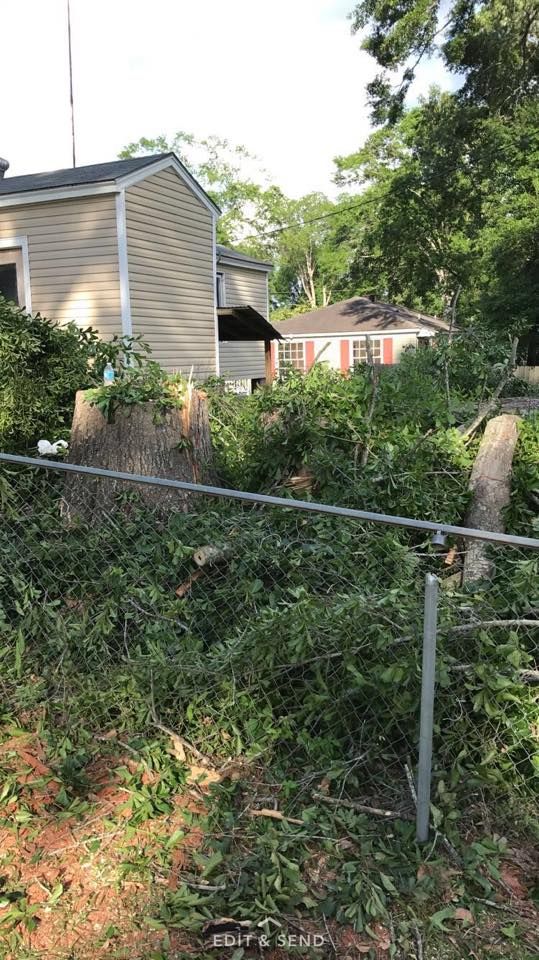 All Photos for Morace Tree Service in Natchez,,  MS