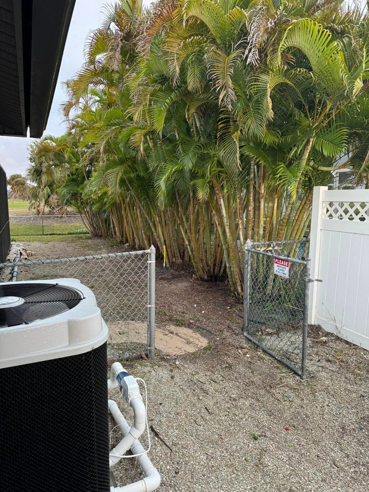 Tree Removal for Lemon Bay Tree Service  in Englewood, FL