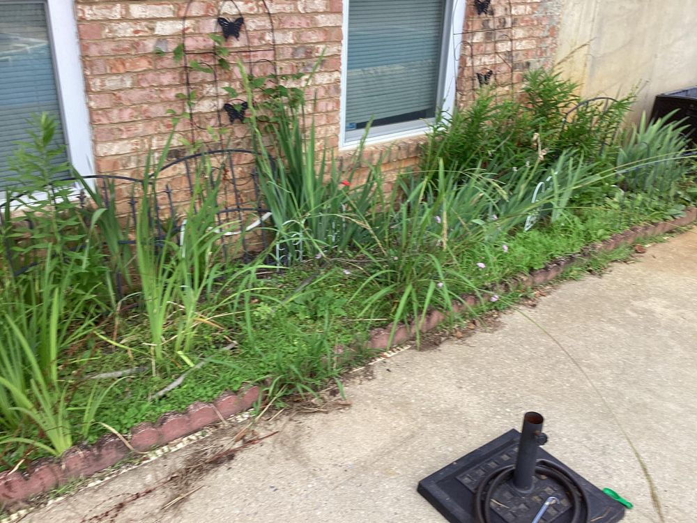 All Photos for Xtreme Landscaping & Lawn Care in Lincoln, AL