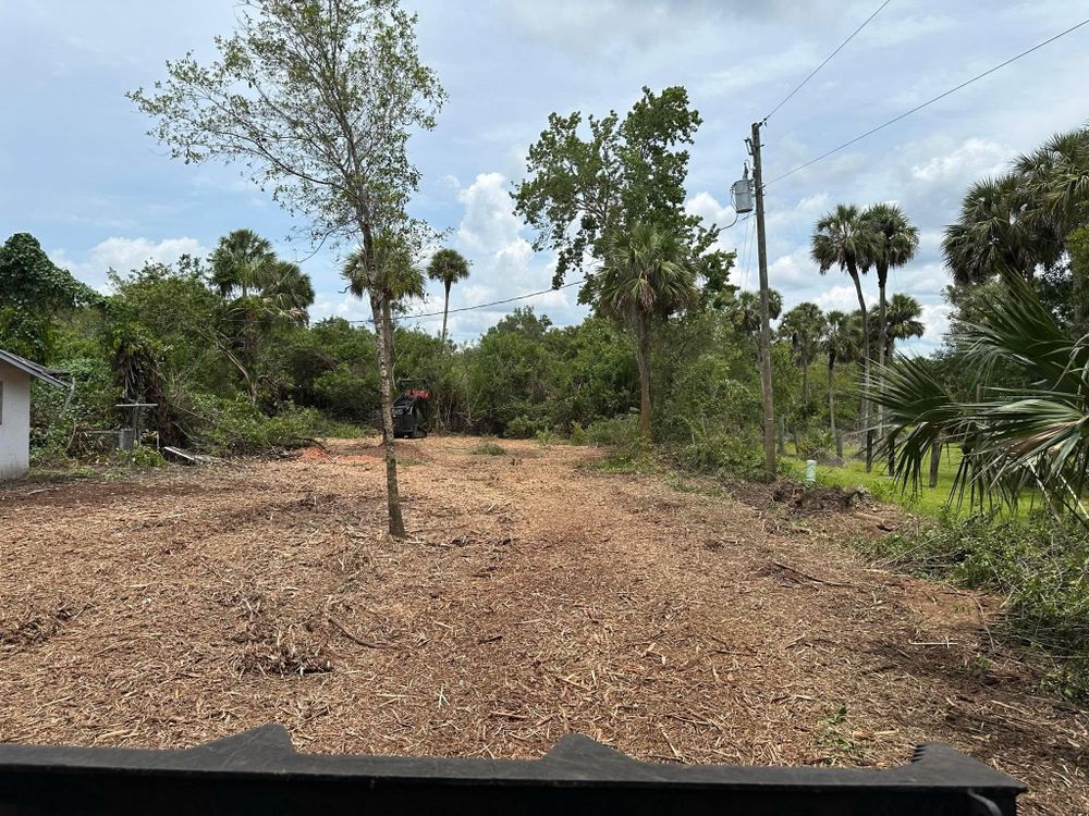 All Photos for McLeran in Naples, FL