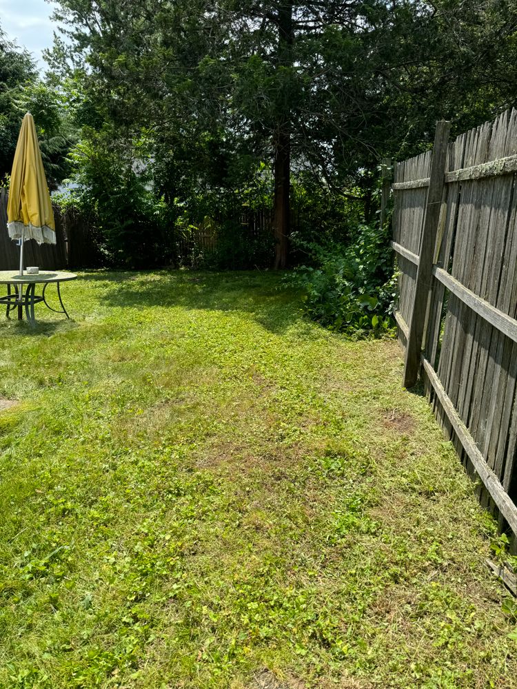 All Photos for Adams Landscaping in Springfield, MA