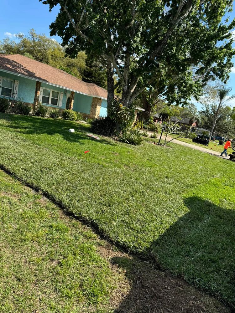 Lawn Maintenance for Duck's Lawn & Tree Service, LLC. in Lakeland, FL