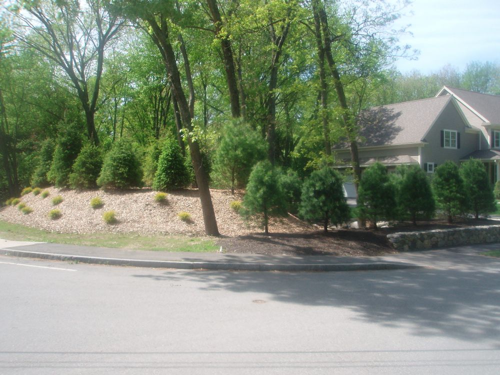 All Photos for Quinn Builders Co in Burlington, MA