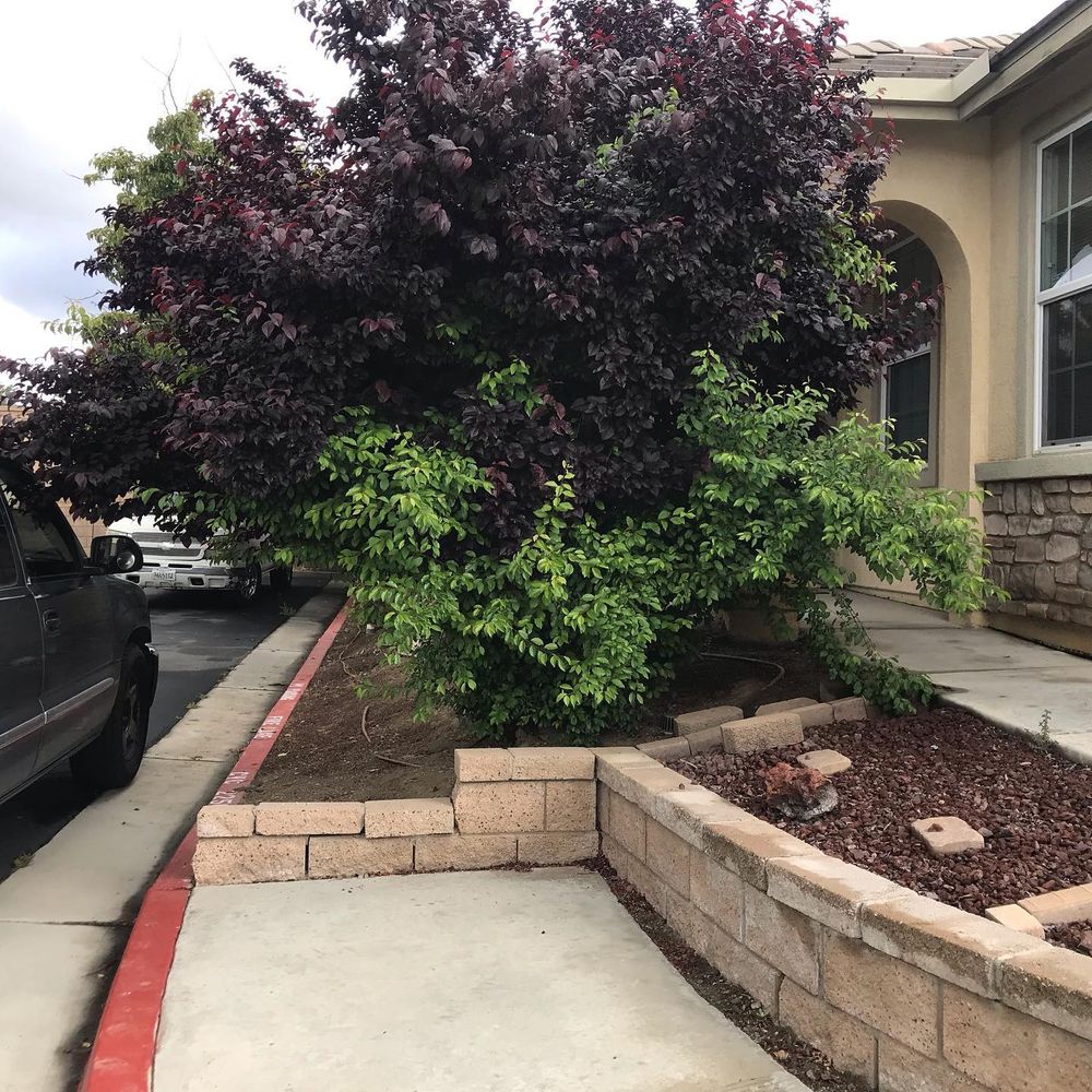 Patio Design & Construction for Aidan Jade Landscaping in Corona, CA