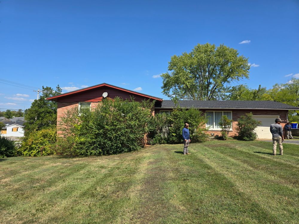 All Photos for Optimum Tree Service And Landscaping in Bowling Green, KY