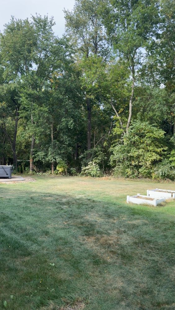 All Photos for Fransen's Tree Service  in Freeport, IL