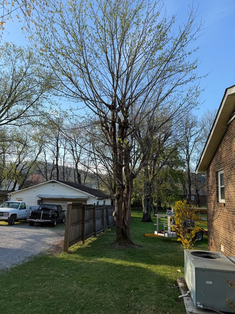 All Photos for Arnold’s Outdoor Solutions in Woodbury, TN