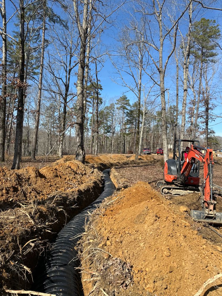 All Photos for Green Land Management in Mount Pleasant, TN