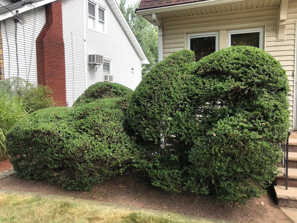 Castro Landscaping team in Orange, NJ - people or person