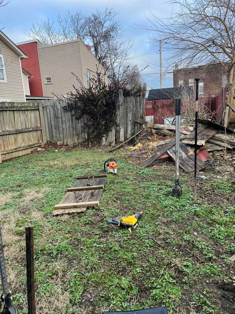 Tree Removal for La Fountain Tree Service in Louisville, KY