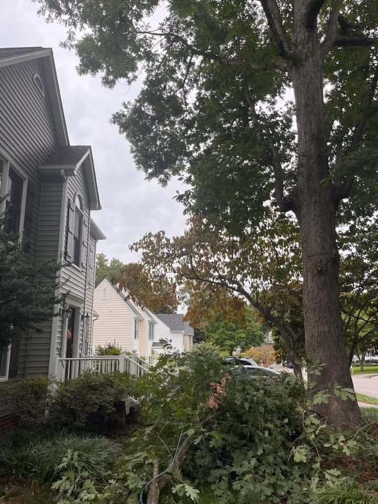 All Photos for Ricky's Tree Service & Property Care in Orange, VA