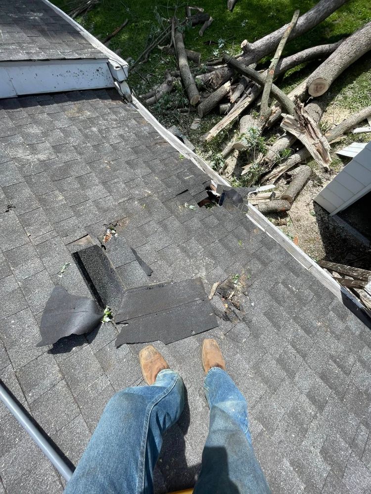 All Photos for Hendricks Tree Service in Belleville, IL