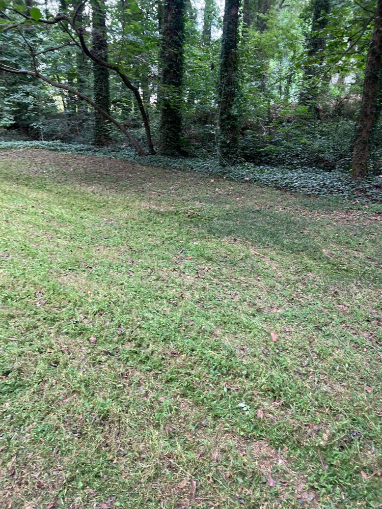 Enhance your lawn's appearance with our expert mowing service, offering precise cutting, trimming edges, and clean-up. Enjoy a meticulously maintained yard that boosts curb appeal and reflects your home's beauty year-round. for Williams Brothers Landscaping & Construction in Atlanta, GA