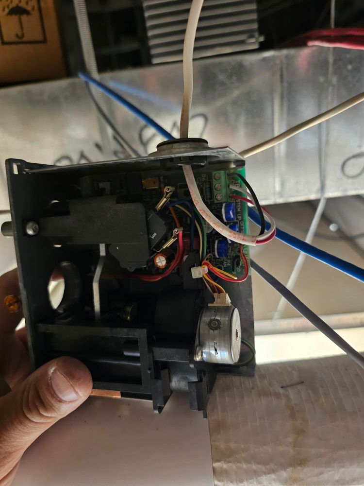 All Photos for The Painter in Citrus Heights, CA