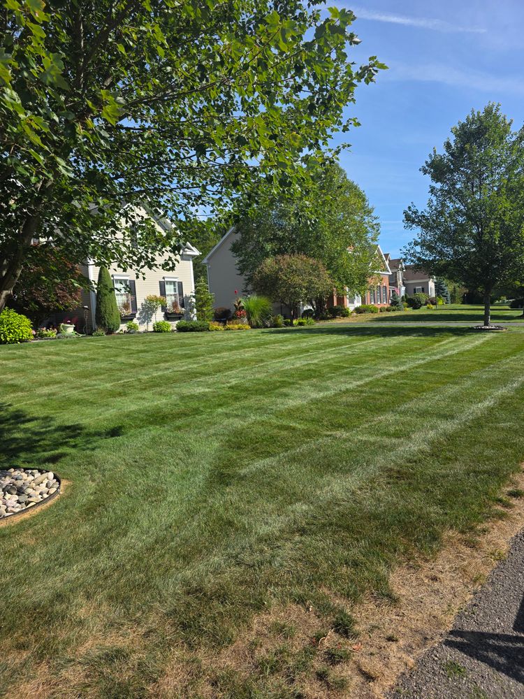 All Photos for Sweet Scapes in Ballston Spa, NY