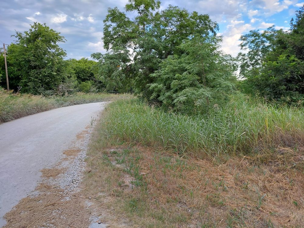 Lawn Care for 4H Property Services in Sanger, TX