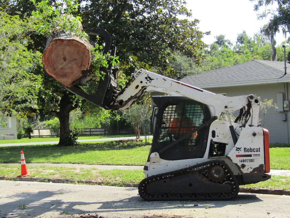 Tree Removal for Daniel Hickey’s Tree Service in DeLand, FL