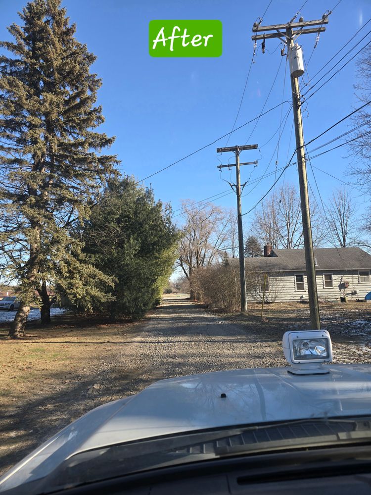 All Photos for D Hale Tree Service in Ann Arbor, MI